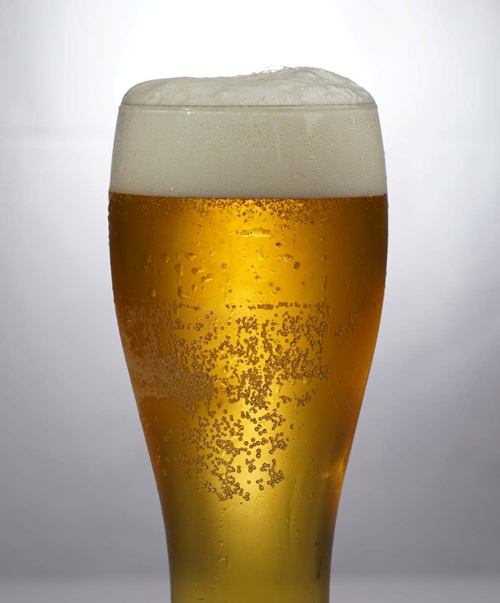 살곶이공원 맥주축제