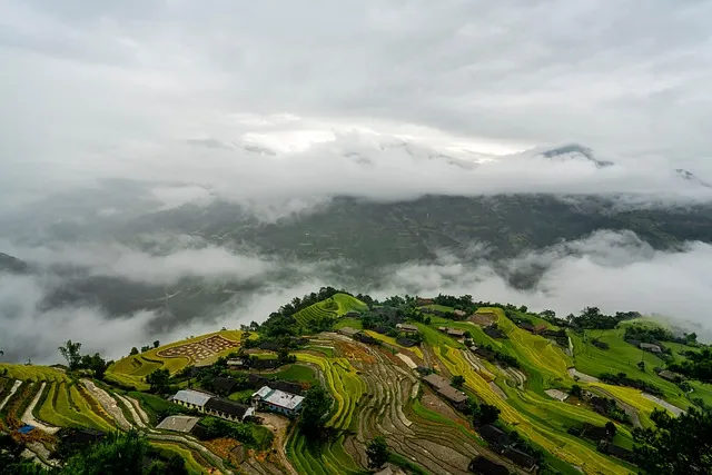 대전 은행동 역전 새벽시장하루가 가장 먼저 시작되는 따뜻한 풍경 기록_3
