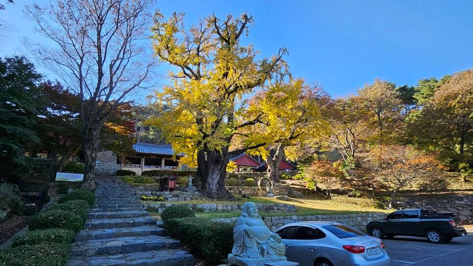 서산 흥주사 : 900년 은행나무의 전설과 백화산의 정취를 품은 고찰