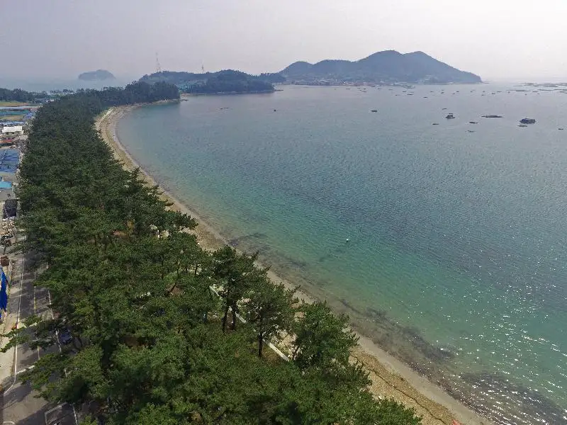 금일도