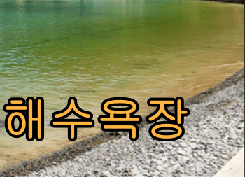 거문도_백도_가는_방법