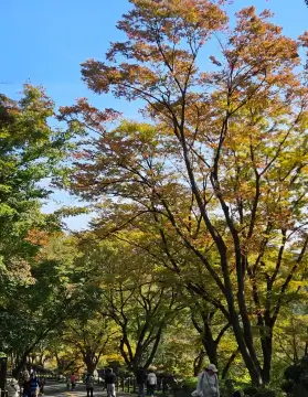 남산타워전망대-남산타워입장료할인