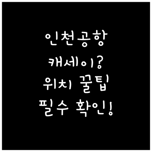 인천공항 캐세이퍼시픽 항공 수속 위치..