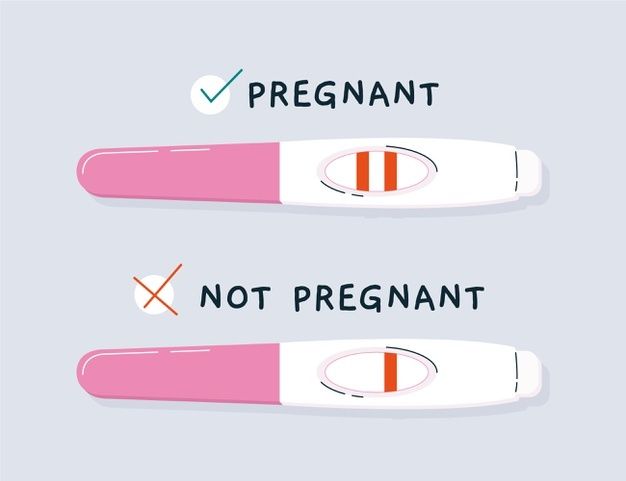 배란일, 가임기 뜻과 콘돔 여부에 따른 임신 확률