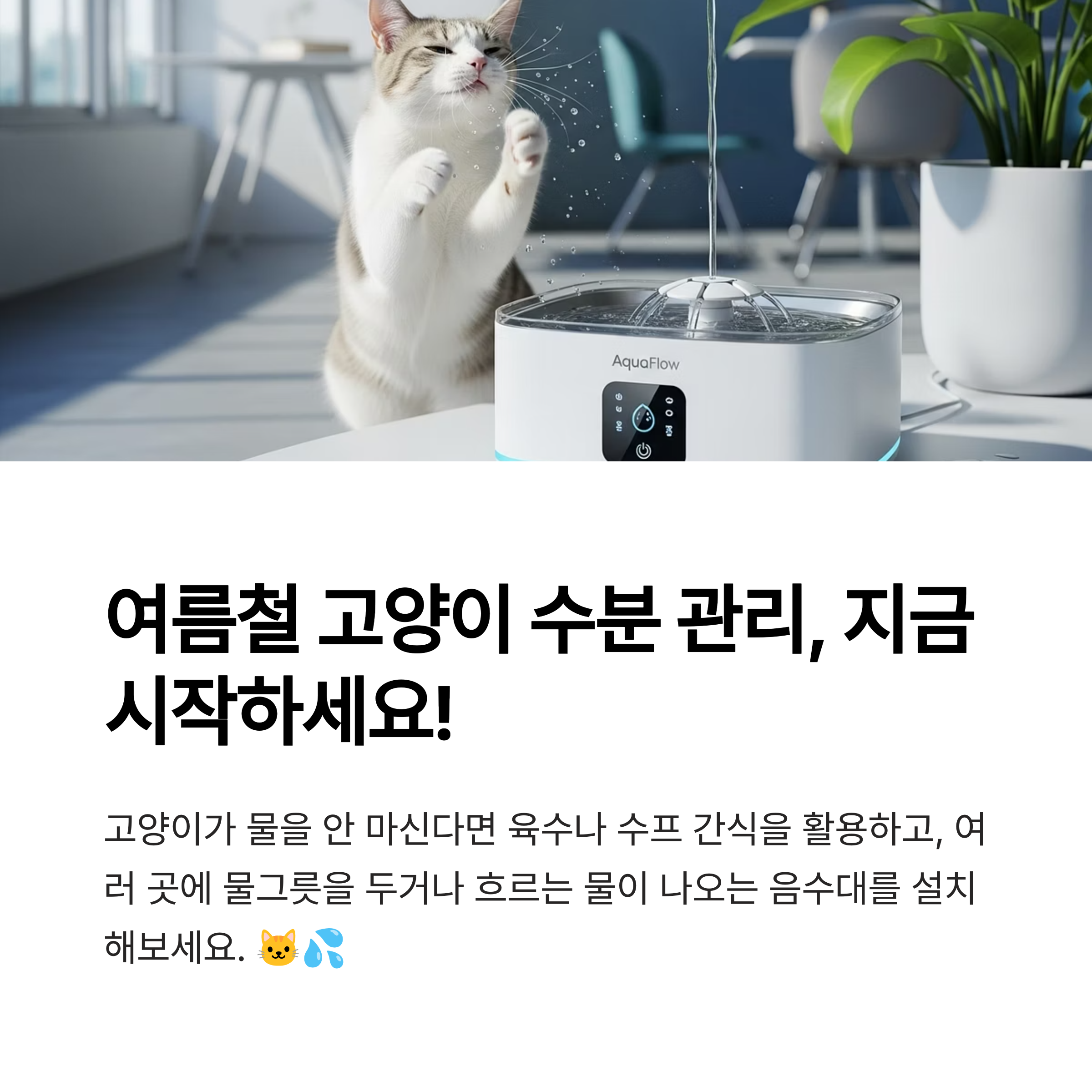 여름철 고양이 수분 관리, 지금 시작하세요!