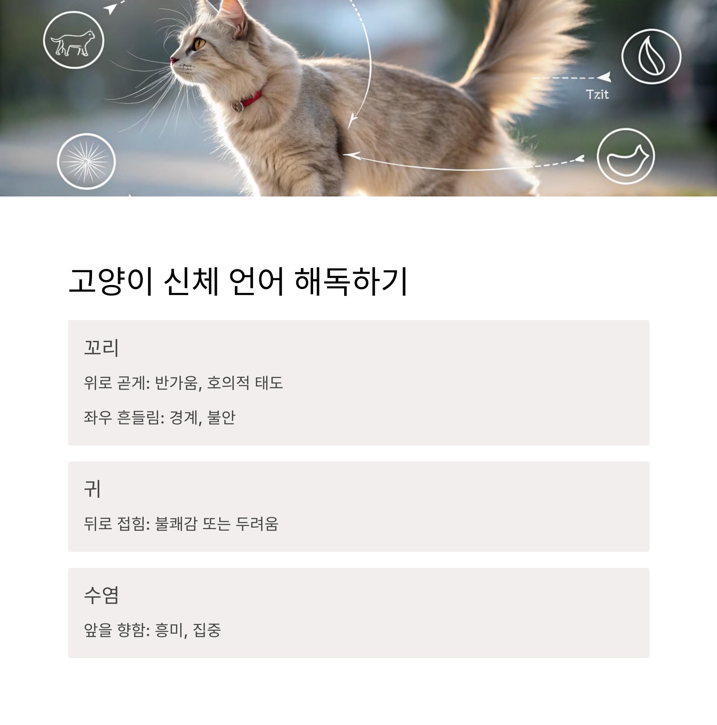 고양이 신체 언어 해독하기