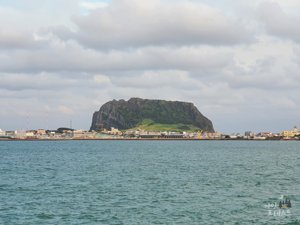 카페더씨 성산일출봉