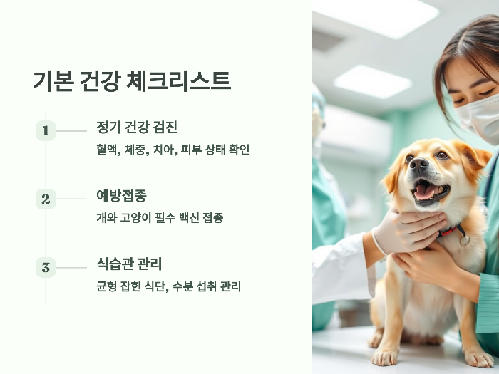 기본 건강 체크리스트