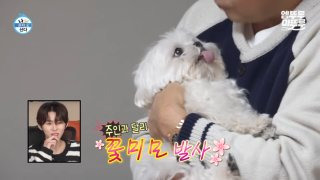구성환 꽃분이 나이 프로필 사망 나혼산 국토대장정