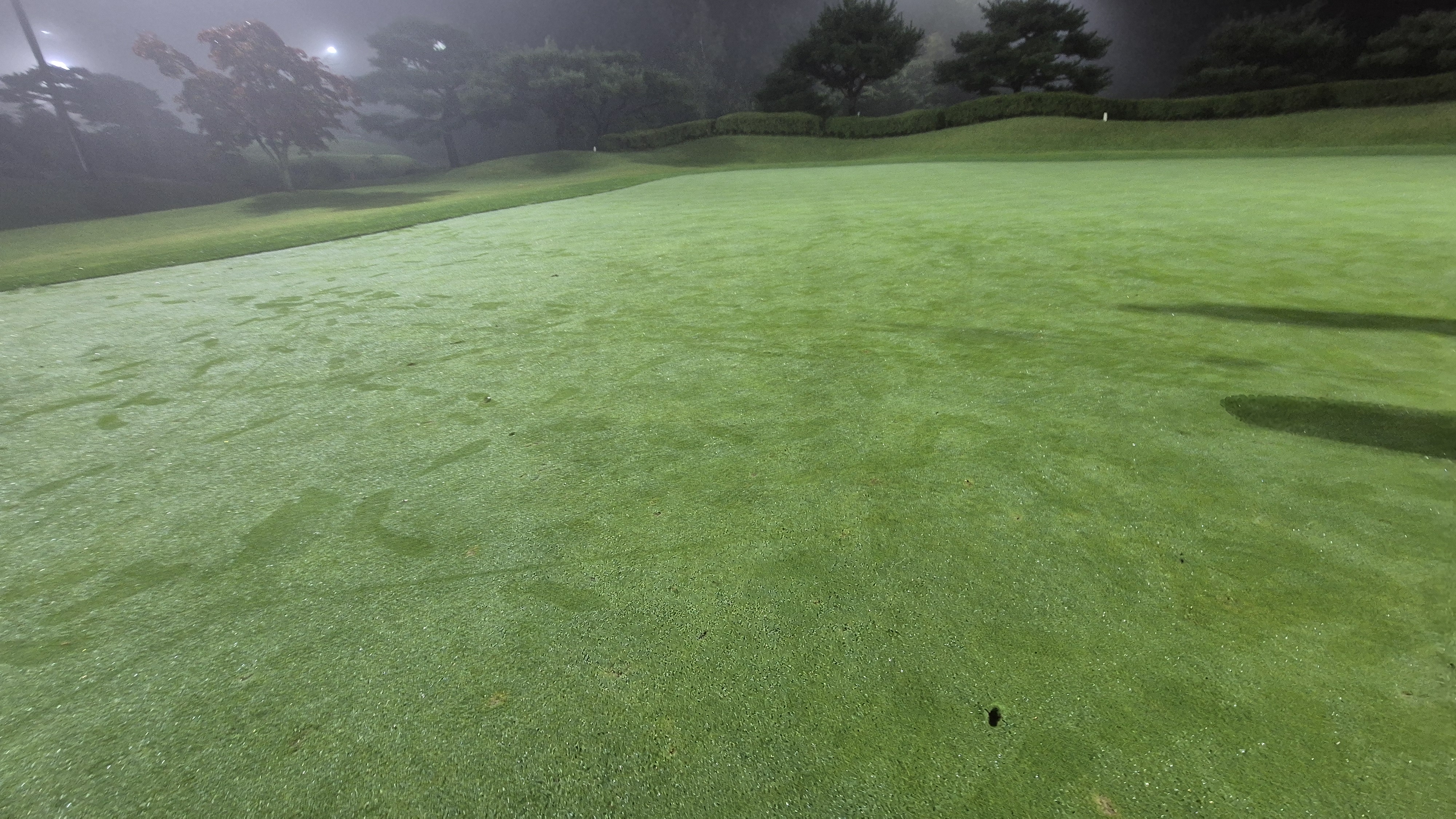 블루원용인cc 그린 관리 상태