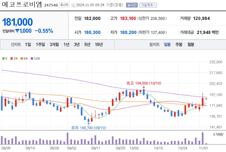 에코프로비엠 주가 (1105)