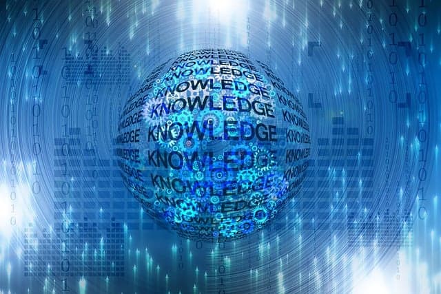 AI 학습 데이터 관리자