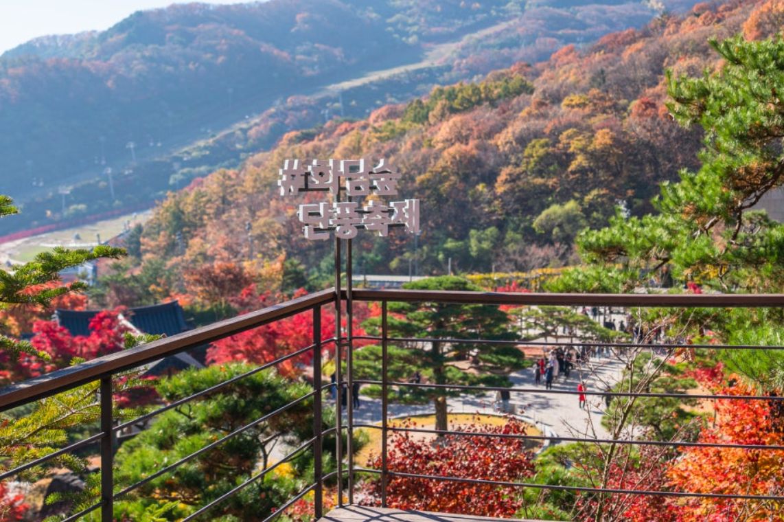 화담숲 성수기 예약