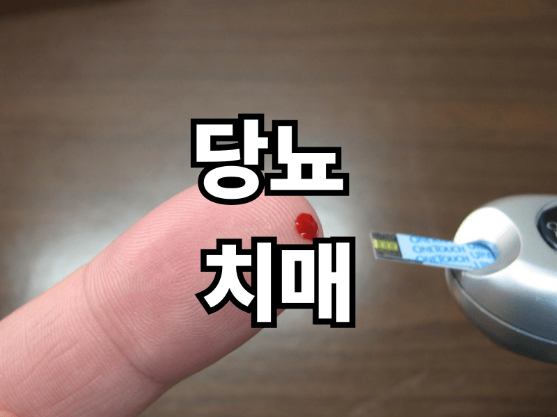 당뇨와 치매의 숨겨진 연결고리, 지금 확인하세요 - 오해와 진실 완벽 정리