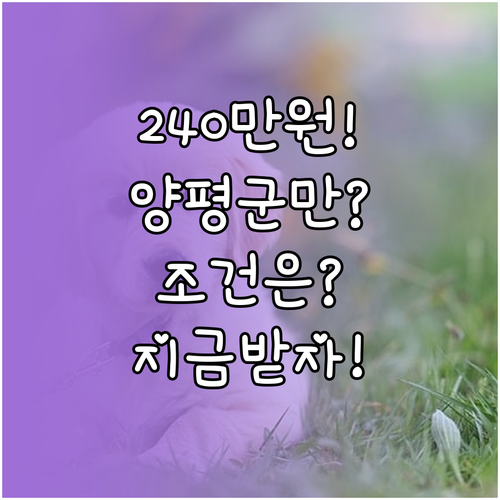 양평군 청년월세 지원금 240만원 받..