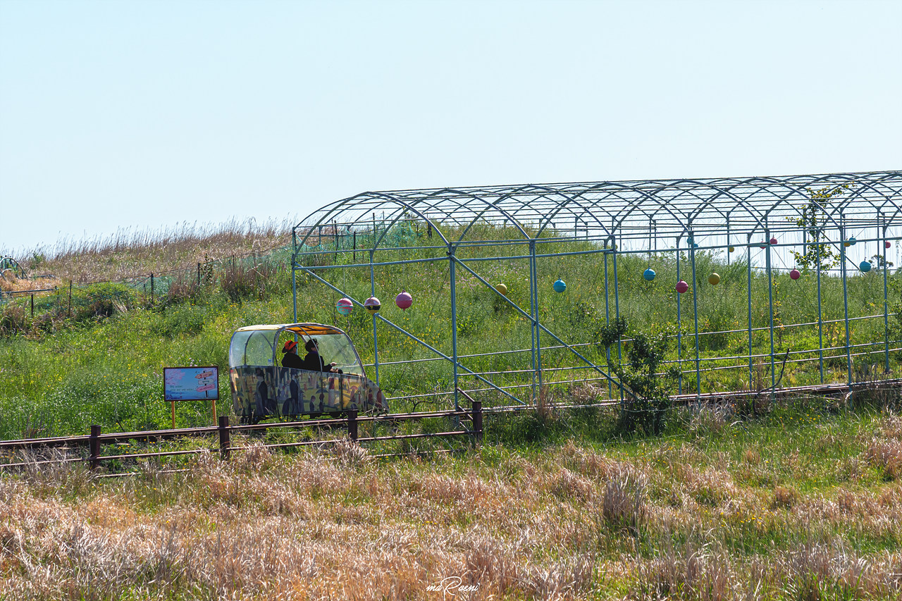 제주 레일바이크