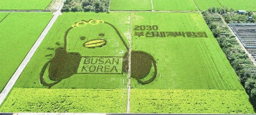 부산 엑스포 발표