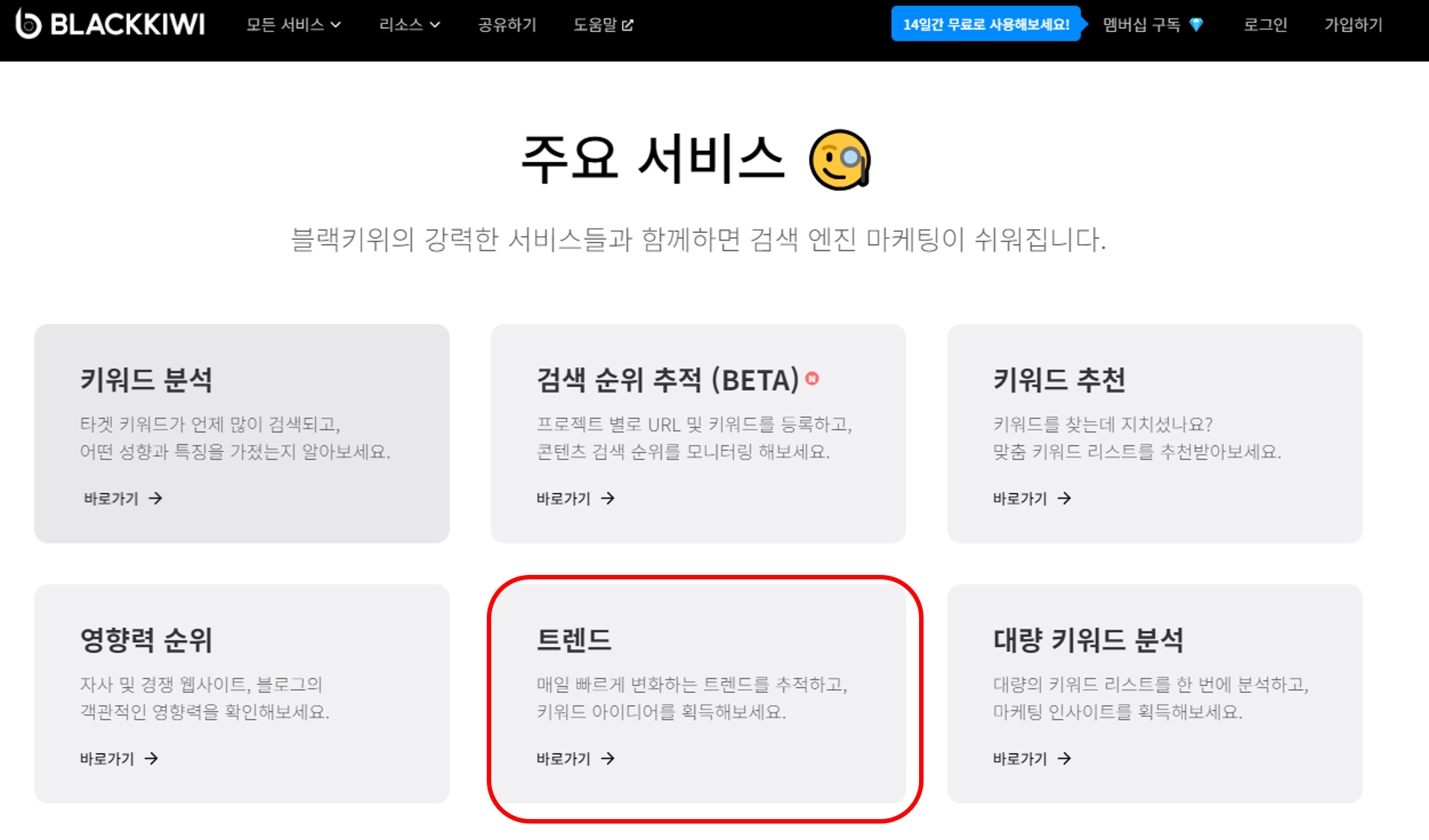 블랙키위 사이트 내용