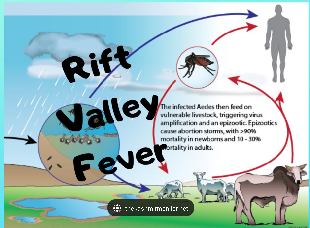 리프트밸리열 바이러스(Rift Valley fever virus)