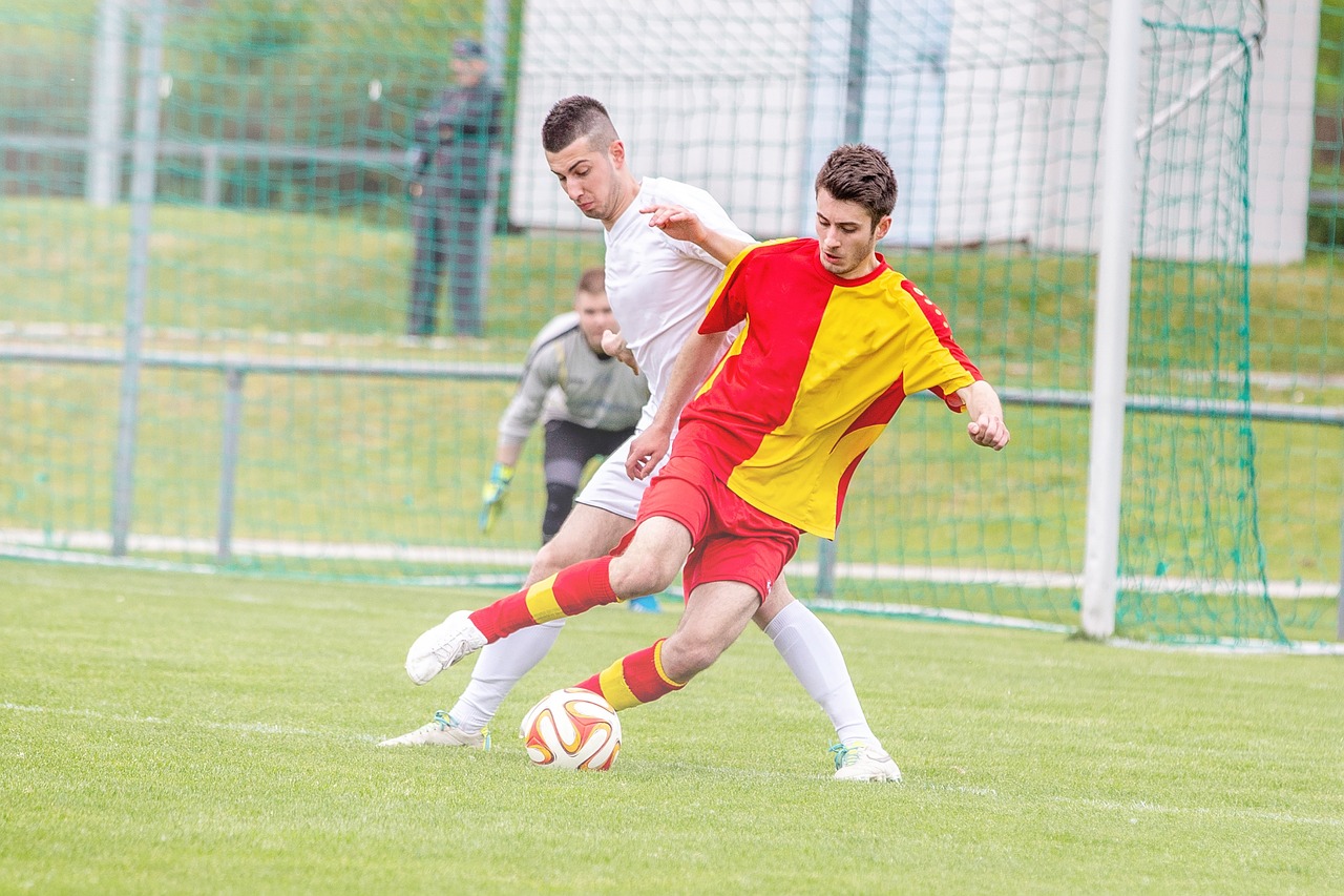 운영 홍보 예산 차이 관련 사진