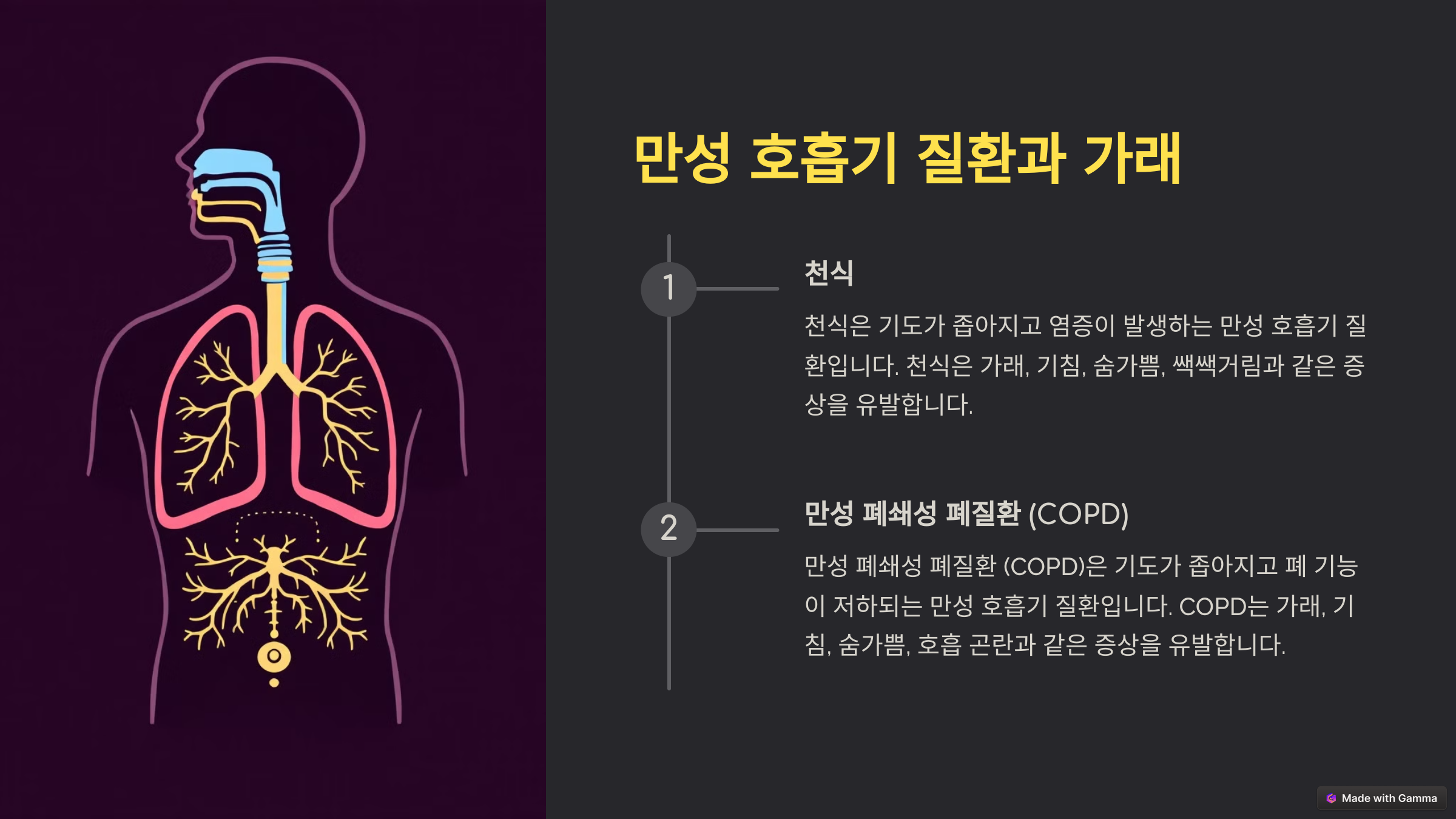 대기오염과 가래
