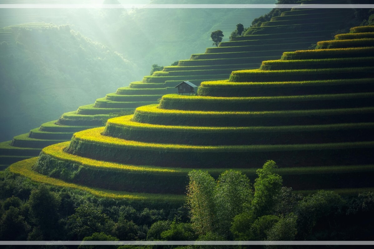 인생 2막 직업 전략 (40대, 커리어, 성장) 관련 사진