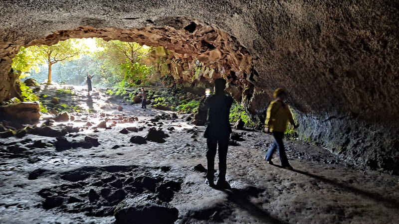 제주여행_성읍녹차마을_녹차동굴