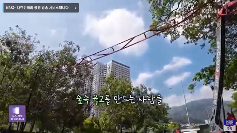 말라야 반도에 건설될 원숭이 다리