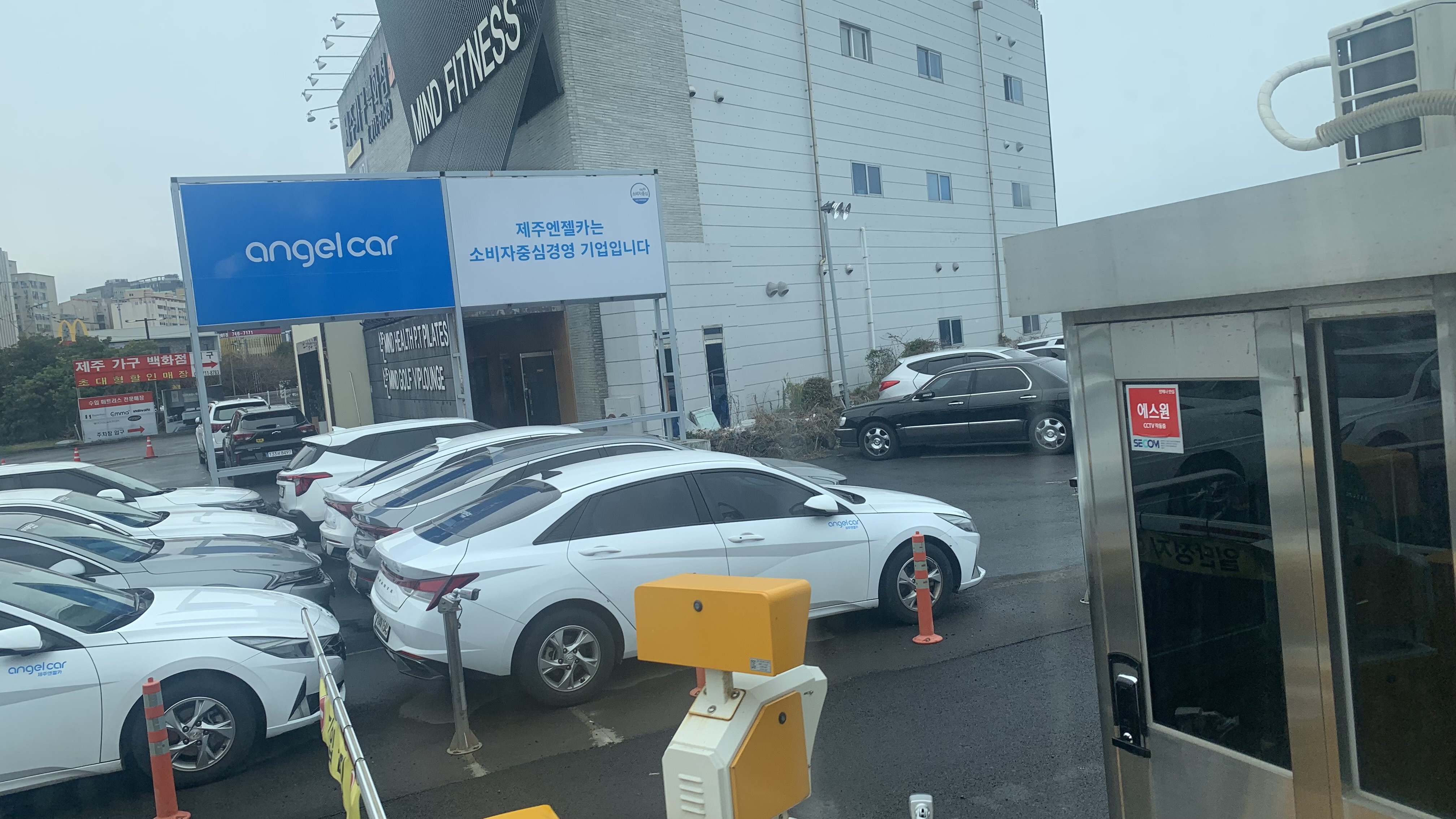 제주도 렌트카 엔젤카 후기 슈퍼면책 + 코나 대여 만족도 최고!