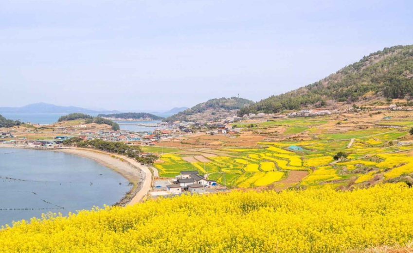 청산도 