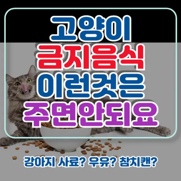 고양이-주면-안되는음식-포스팅-썸네일