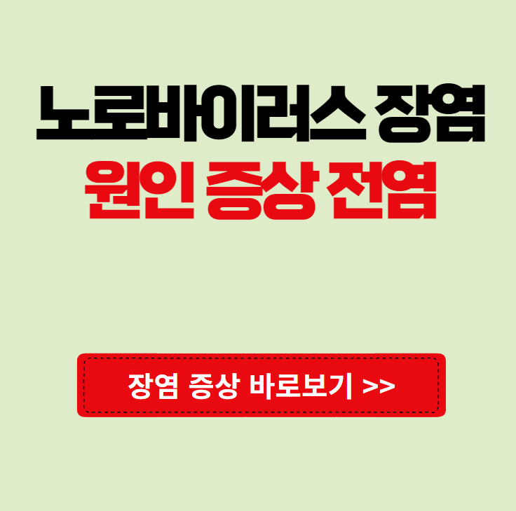 노로바이러스 장염 원인 증상 전염