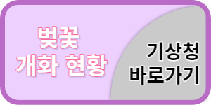 기상청 벚꽃개화현황 바로가기