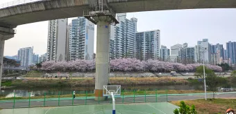 의정부 맛집 베스트10 필수 블루리본 맛집_18