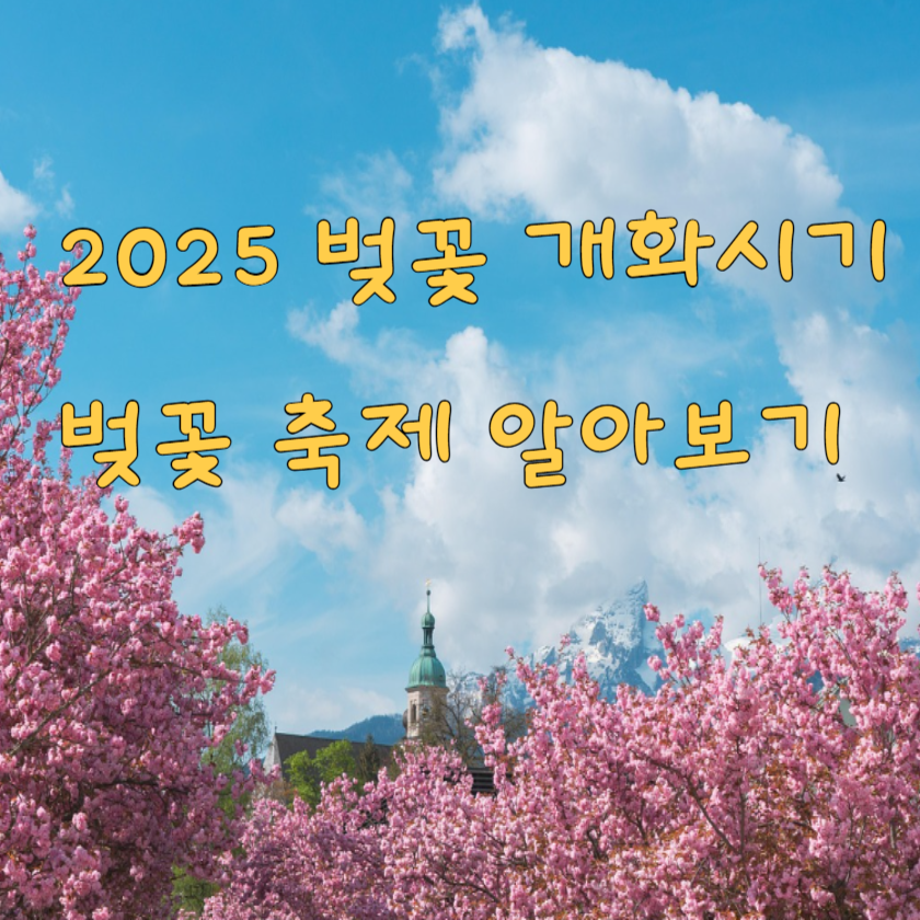 벚꽃 개화시기 2025, 전국 축제