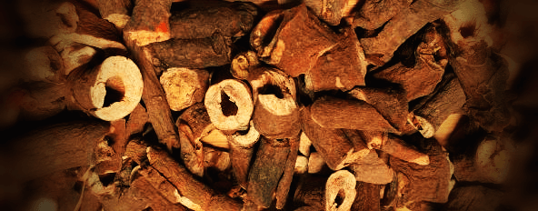 말린-목단피-사진