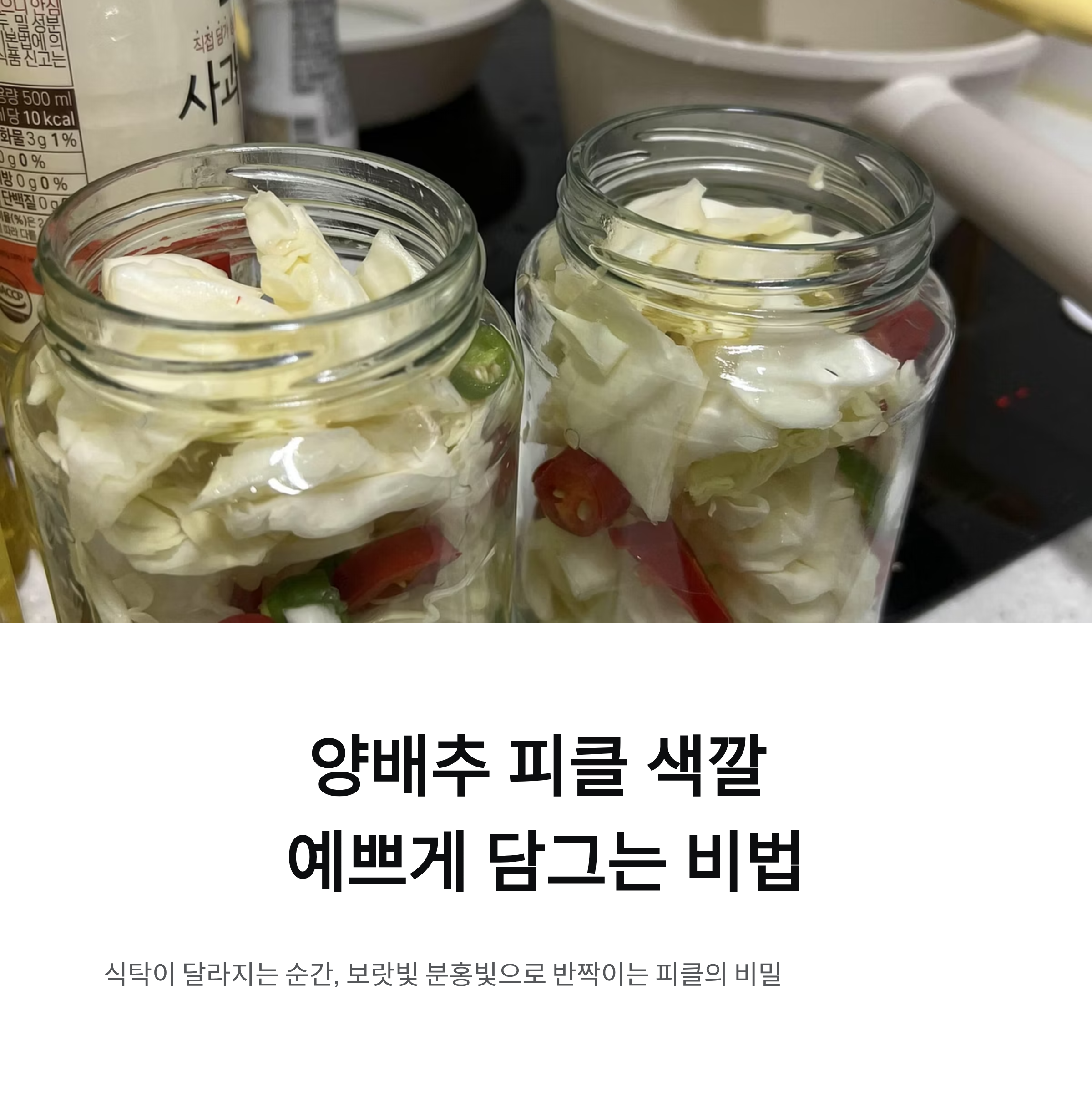 양배추 피클 색깔 예쁘게 담그는 비법, 식탁이 달라지는 순간