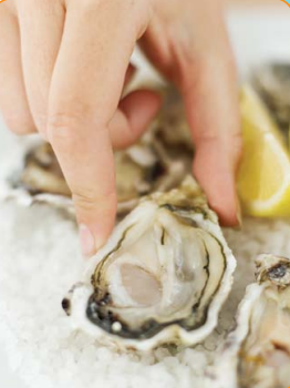 노로바이러스, 굴