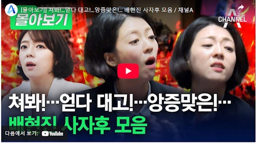 배현진의원 사자후 모음 영상