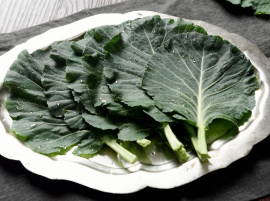 지방간에좋은음식-케일