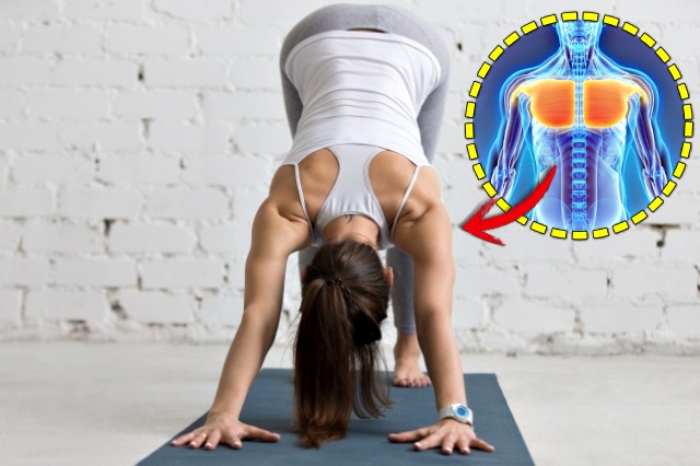 요가 도그자세 효과 5, 다이어트, 건강, 팁줌