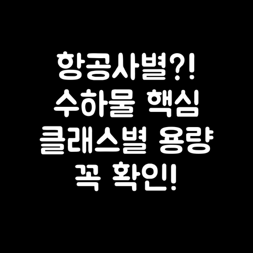 중화항공 운임 클래스별 위탁수하물 허..