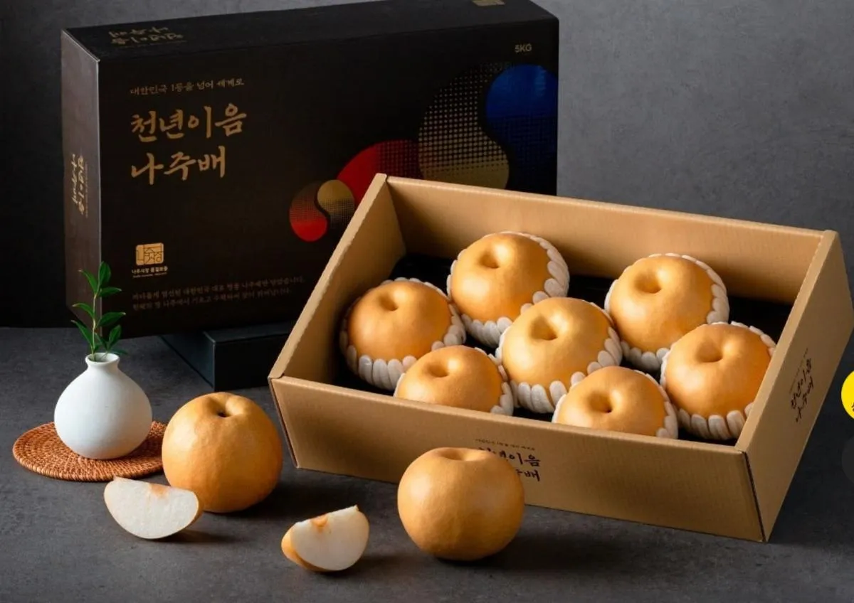 나주배 효능 특징 수확시기제철손질먹는방법나주배 보관 방법 안내_5