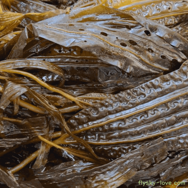 간 해독에 좋은 곰피