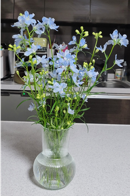 마트에서 사온 꽃