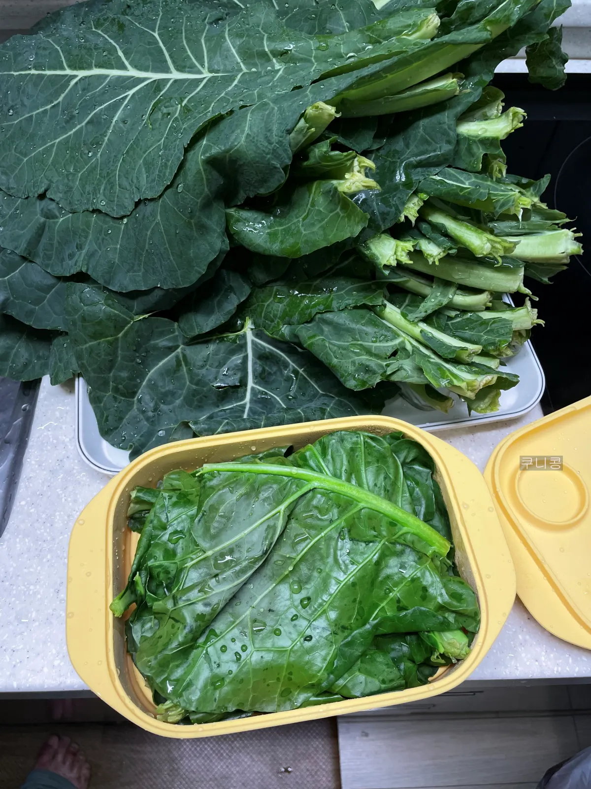 집에서-간단하게-전자레인지로-케일-찌는-방법,-실리만-찜기-사용후기