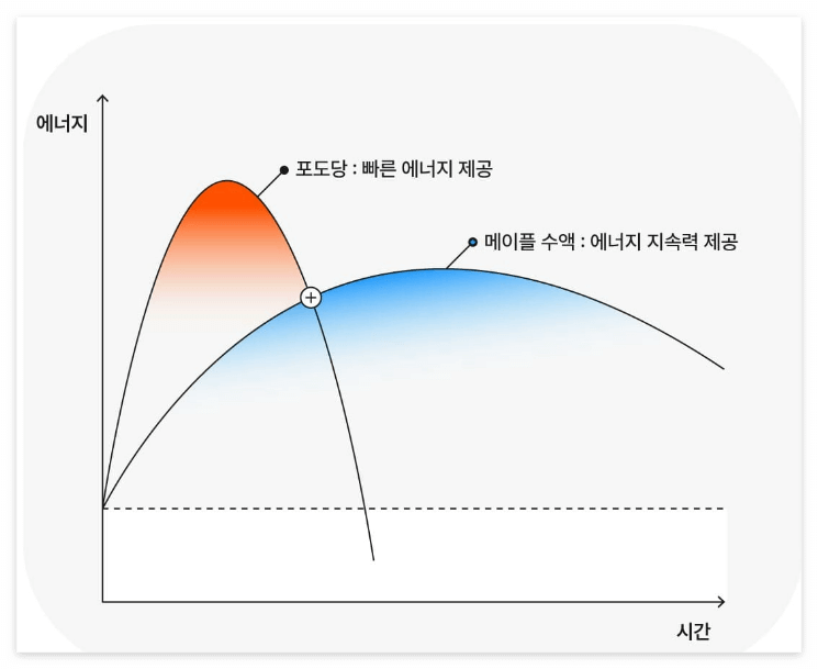 포도당과 메이플 수액 비교