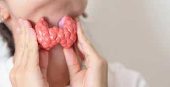 갑상선기능저하증/출처:어도비스톡