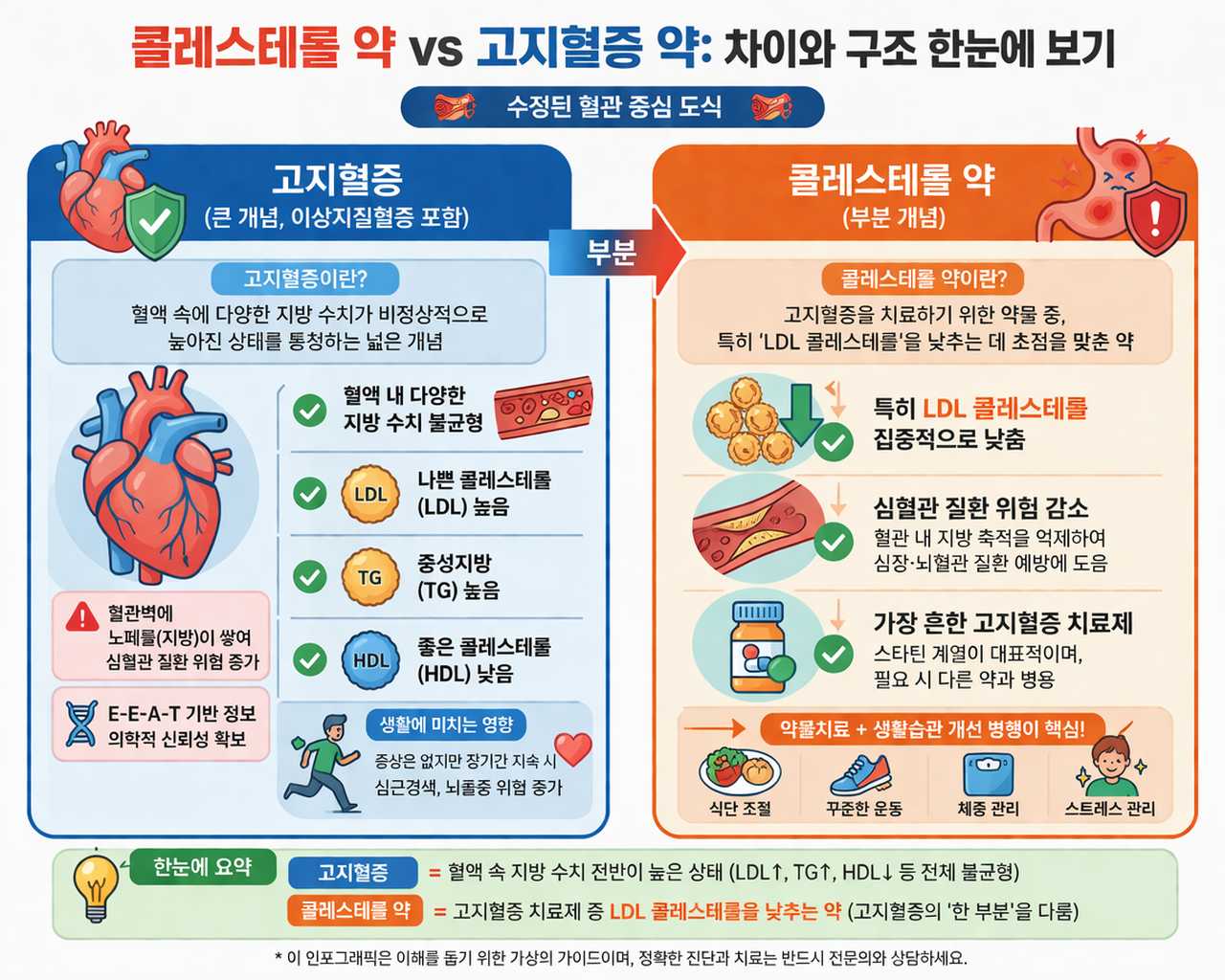 콜레스테롤 약 vs 고지혈증 약 : 차이와 구조 한눈에 보기 인포그래픽