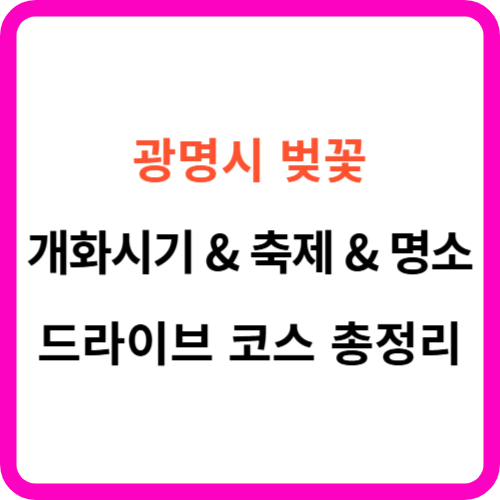 광명 벚꽃 개화시기 축제 명소 드라이브 코스 썸네일